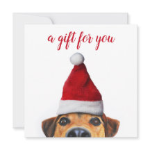 Neugieriger Niedlicher Hund mit Weihnachtsmannmütz