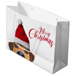 Neugieriger Niedlicher Hund mit Weihnachtsmannmütz Große Geschenktüte