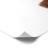 Neugieriger Niedlicher Hund mit Weihnachtsmannmütz Poster (Ecke)