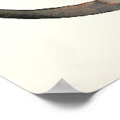 Neugieriger Otter 2003 Poster (Ecke)