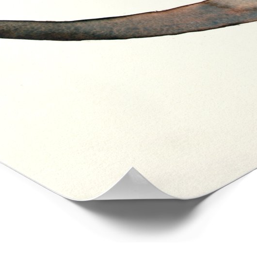 Neugieriger Otter 2003 Poster (Ecke)