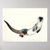 Neugieriger Otter 2003 Poster (Vorne)