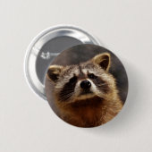 Neugieriger Raccoon Button (Vorne & Hinten)