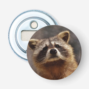 Neugieriger Raccoon Flaschenöffner