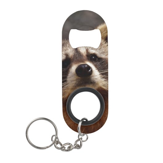Neugieriger Raccoon Mini Flaschenöffner (Vorderseite)
