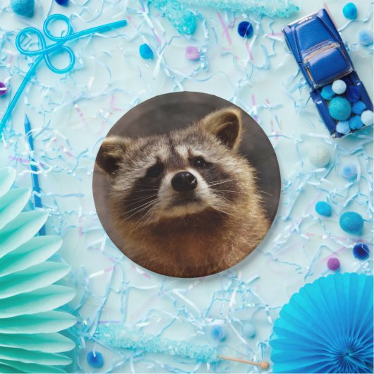 Neugieriger Raccoon Pappteller (Party)