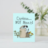 Neugieriger Raccoon Postkarte (Stehend Vorderseite)