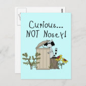 Neugieriger Raccoon Postkarte (Vorne/Hinten)