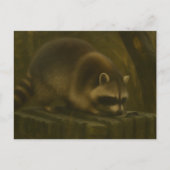 Neugieriger Raccoon - Realistischer Wald und Wildt Postkarte (Vorderseite)