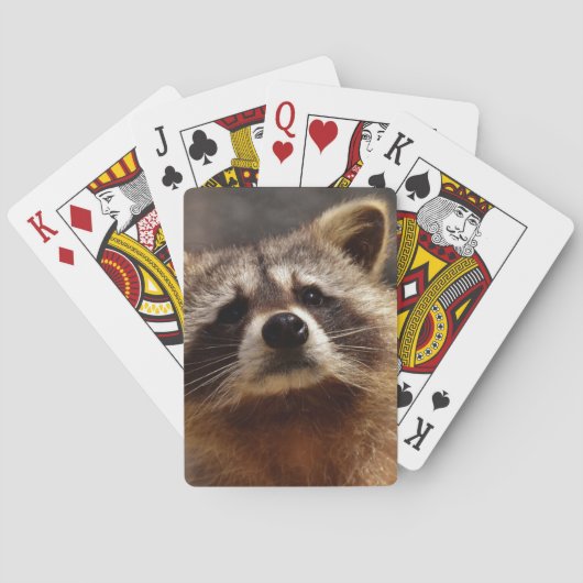 Neugieriger Raccoon Spielkarten (Rückseite)