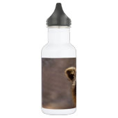 Neugieriger Raccoon Trinkflasche (Links)