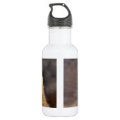 Neugieriger Raccoon Trinkflasche (Rückseite)