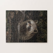 Neugieriger Racoon im Puzzle des Waldtieres (Horizontal)