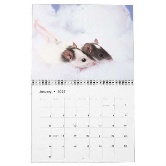 Neugieriger Ratty Kalender 2011 (Jan 2027)