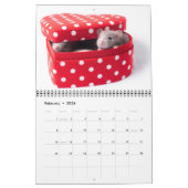 Neugieriger Ratty Kalender 2011 (Feb 2026)