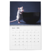 Neugieriger Ratty Kalender 2011 (Mär 2026)
