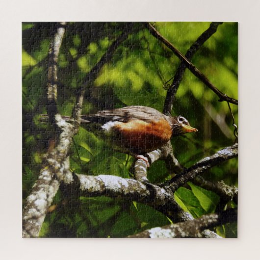 Neugieriger Robin Puzzle (Vertikal)