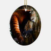 neugieriger roter Panda Keramik Ornament (Rechts)