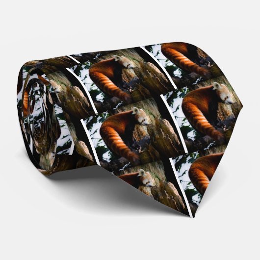 neugieriger roter Panda Krawatte (Gerollt)