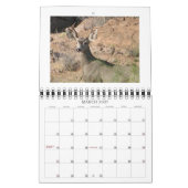 Neugieriger Rotwild-Kalender Kalender (Mär 2027)