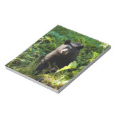 Neugieriger Schwarzbär Notizblock (Rotiert)