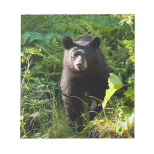 Neugieriger Schwarzbär Notizblock