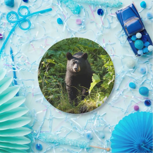 Neugieriger schwarzer Bär Pappteller (Party)