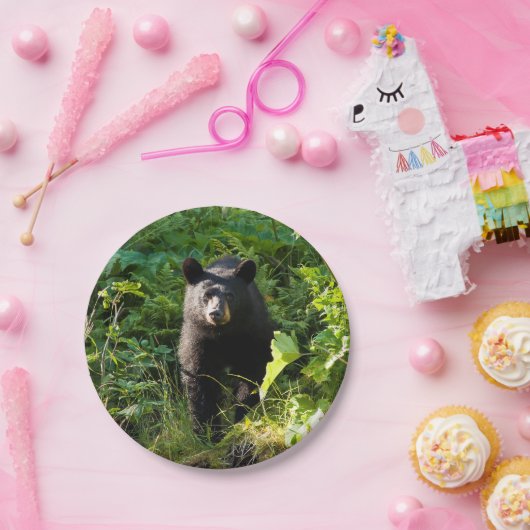 Neugieriger schwarzer Bär Pappteller (Party)