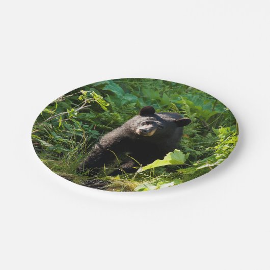 Neugieriger schwarzer Bär Pappteller (Schrägansicht)