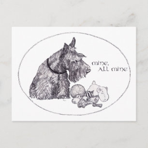 Neugieriger Scottish Terrier Meins, alles Meins Postkarte