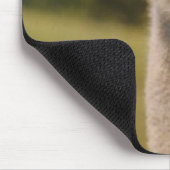 Neugieriger Strauß Mousepad (Ecke)