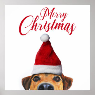 Neugieriger süßer lustiger Hund mit Weihnachtsmann Poster