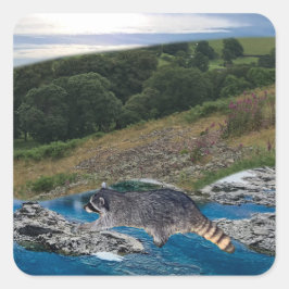 Neugieriger und cleverer Raccoon Square Sticker