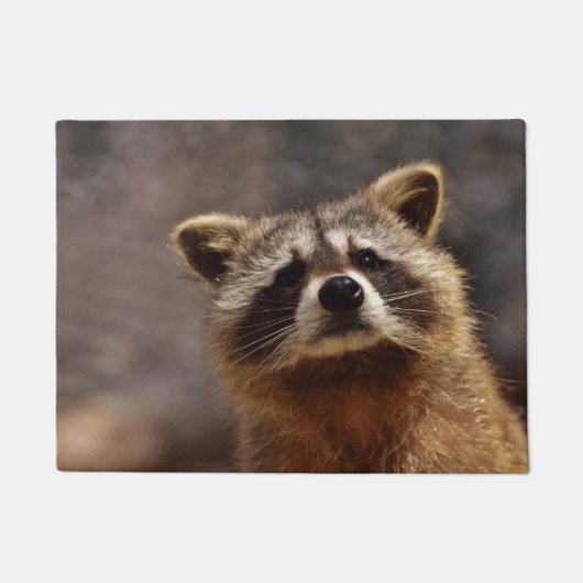 Neugieriger Waschbär Fußmatte (Vorderseite)