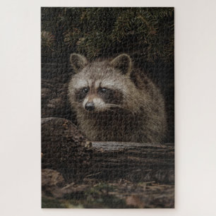 Neugieriger Waschbär im Waldtier Puzzle
