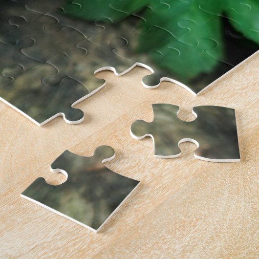 Neugieriger Waschbär in Bush Puzzle (Seite)