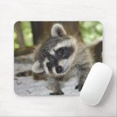 Neugieriger Waschbär - Mousepad (Mit Mouse)
