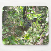 Neugieriger Whitetail Deer Mousepad (Vorne)