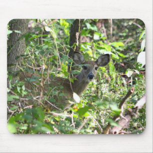 Neugieriger Whitetail Deer Mousepad