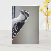Neugieriger Woodpecker Karte (Gelbe Blume)