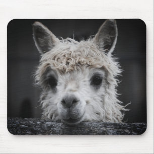 Neugieriges Alpaka-Mauspad Mousepad