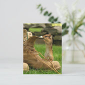 Neugieriges Baby Chipmunk Postkarte (Stehend Vorderseite)
