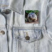 Neugieriges Baby Marmot Abzeichen Button (Beispiel)