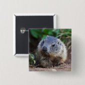 Neugieriges Baby Marmot Abzeichen Button (Vorne & Hinten)