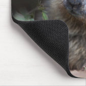 Neugieriges Baby Marmot Mousemat Mousepad (Ecke)