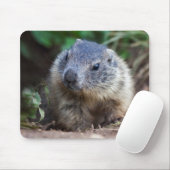 Neugieriges Baby Marmot Mousemat Mousepad (Mit Mouse)