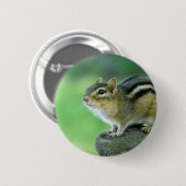 Neugieriges Chipmunk-Button Button (Vorne & Hinten)