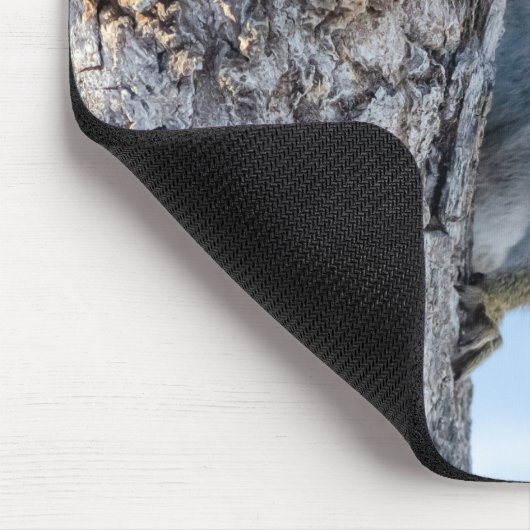 Neugieriges Eichhörnchen, das von einem Baum herbe Mousepad (Ecke)