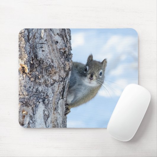 Neugieriges Eichhörnchen, das von einem Baum herbe Mousepad (Mit Mouse)