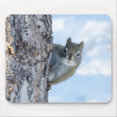 Neugieriges Eichhörnchen, das von einem Baum herbe Mousepad (Vorne)